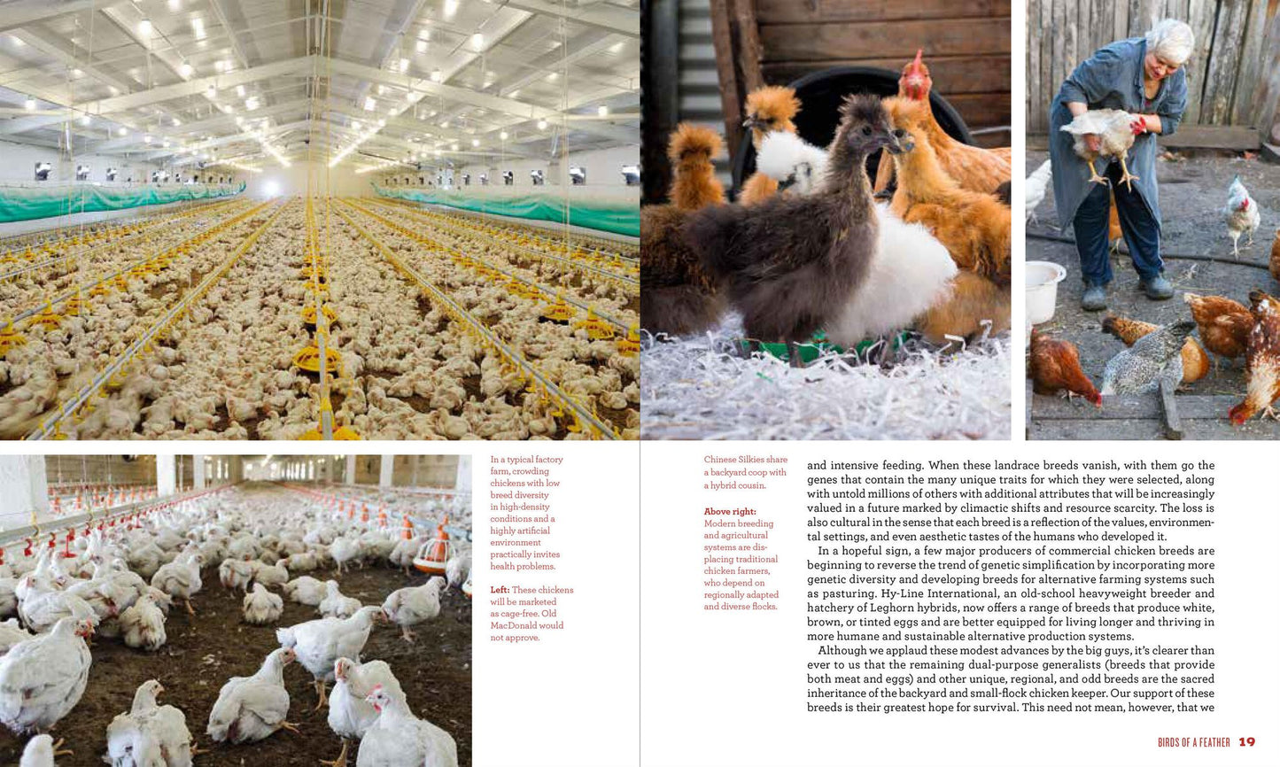 The New Rules of the Roost: Organic Care and Feeding for the Family Flock