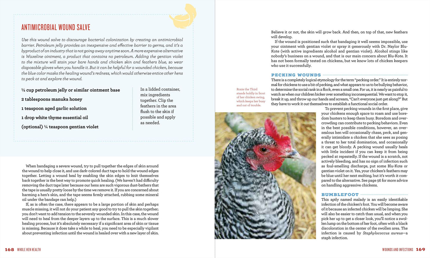 The New Rules of the Roost: Organic Care and Feeding for the Family Flock