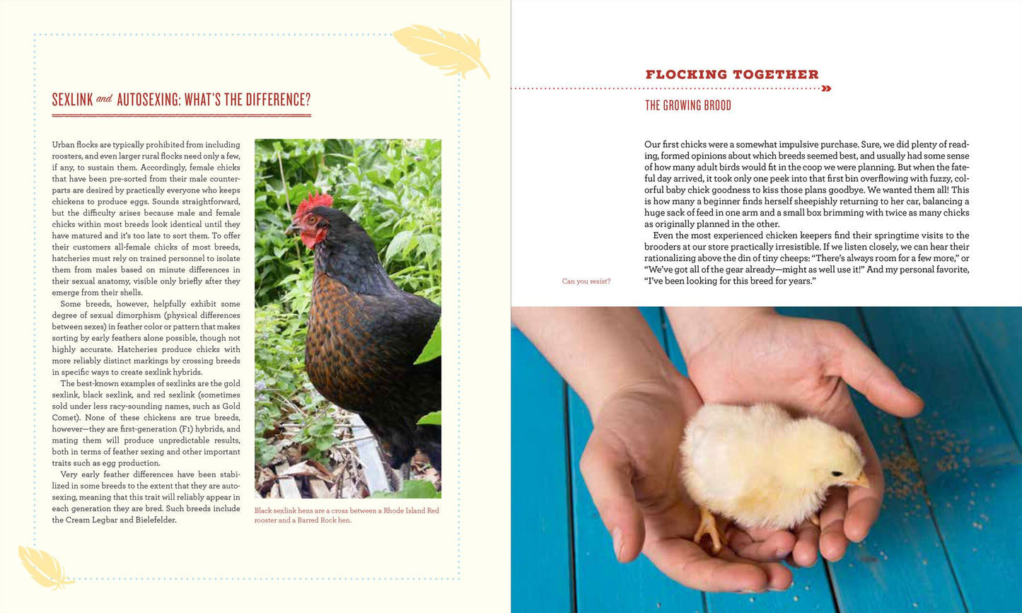 The New Rules of the Roost: Organic Care and Feeding for the Family Flock