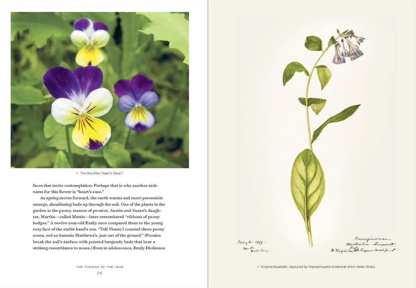 Emily Dickinson's Gardening Life : The Plants and Places That Inspired the Iconic Poet