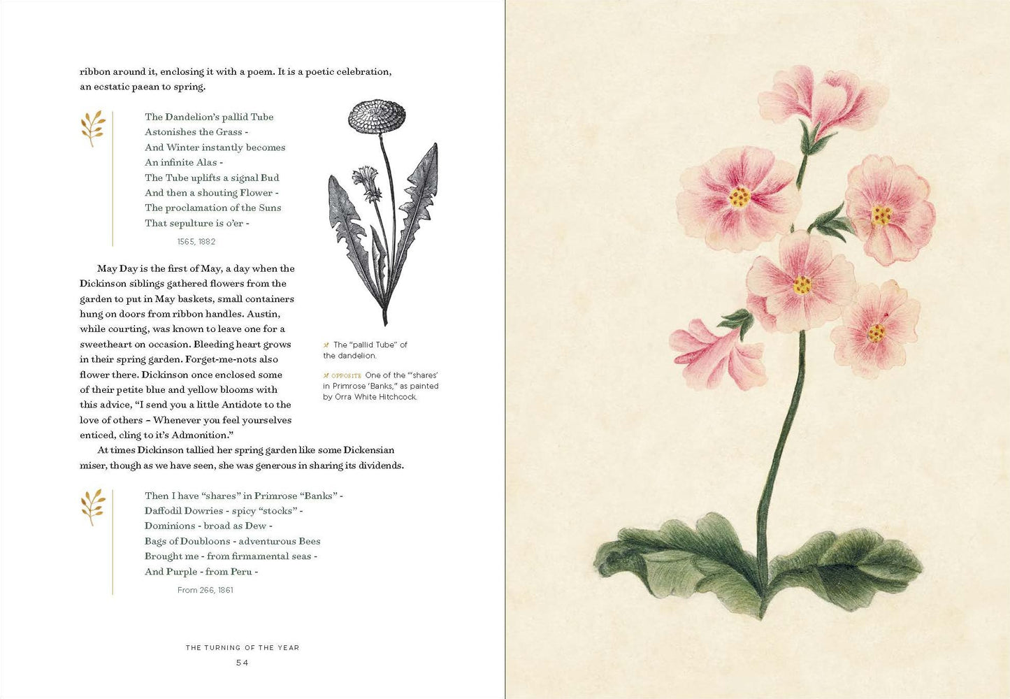 Emily Dickinson's Gardening Life : The Plants and Places That Inspired the Iconic Poet