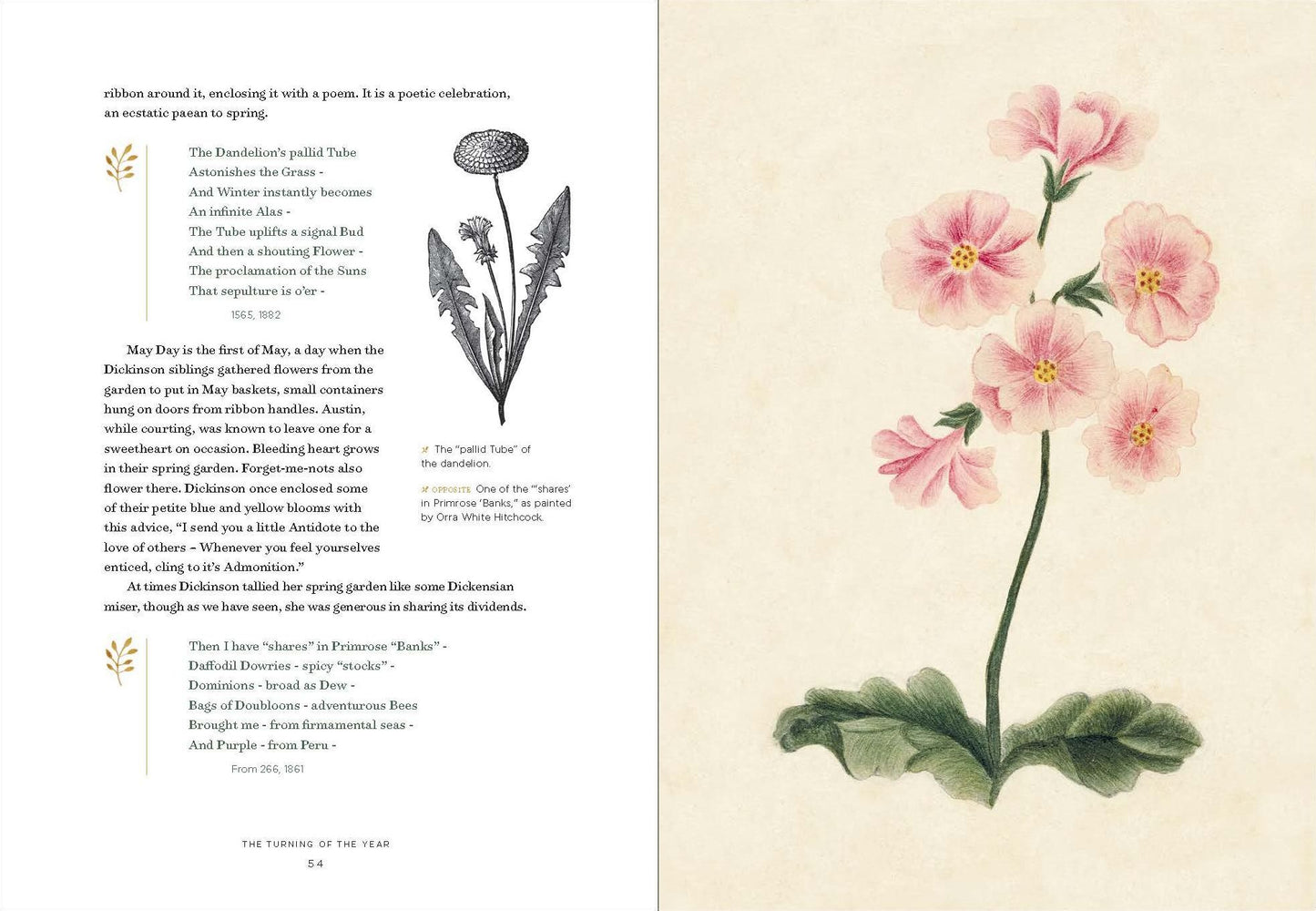Emily Dickinson's Gardening Life : The Plants and Places That Inspired the Iconic Poet