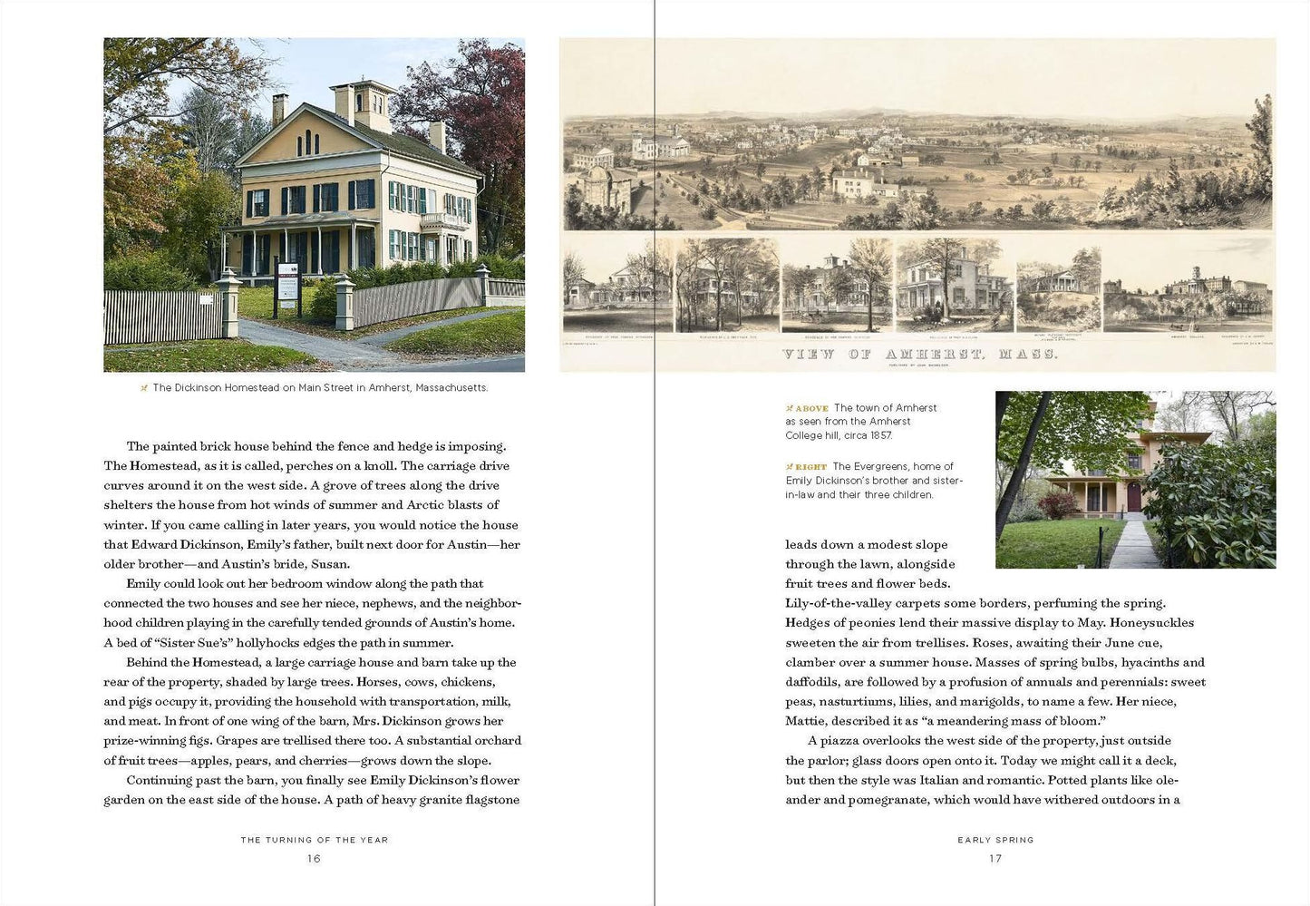 Emily Dickinson's Gardening Life : The Plants and Places That Inspired the Iconic Poet