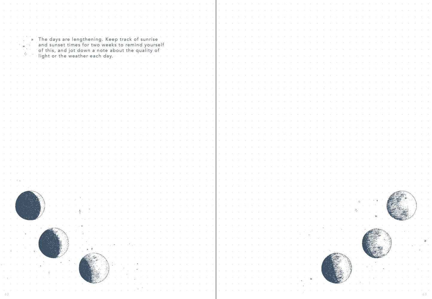Nature Observer: A Guided Journal