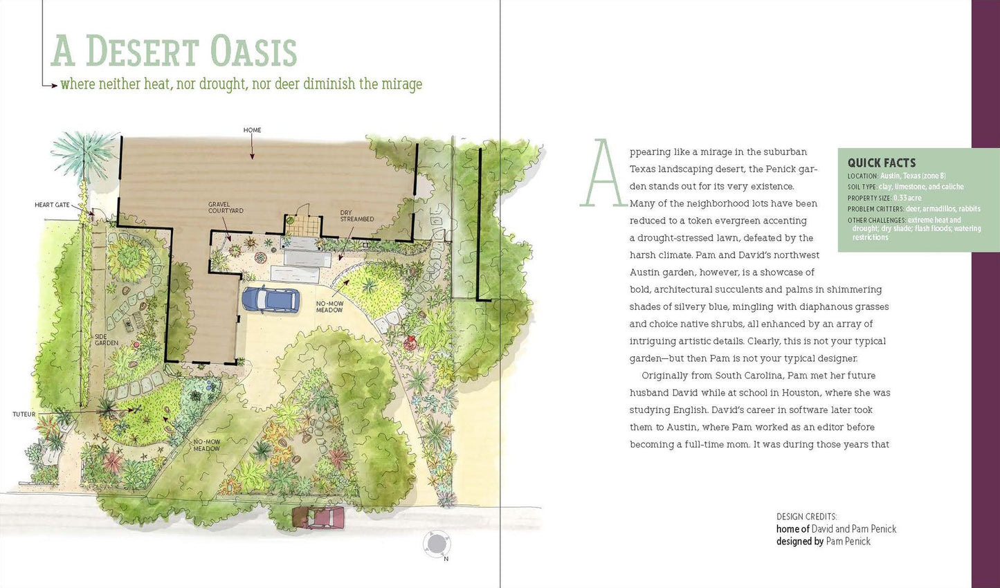 Deer-Resistant Design: Fence-Free Gardens That Thrive Despite the Deer