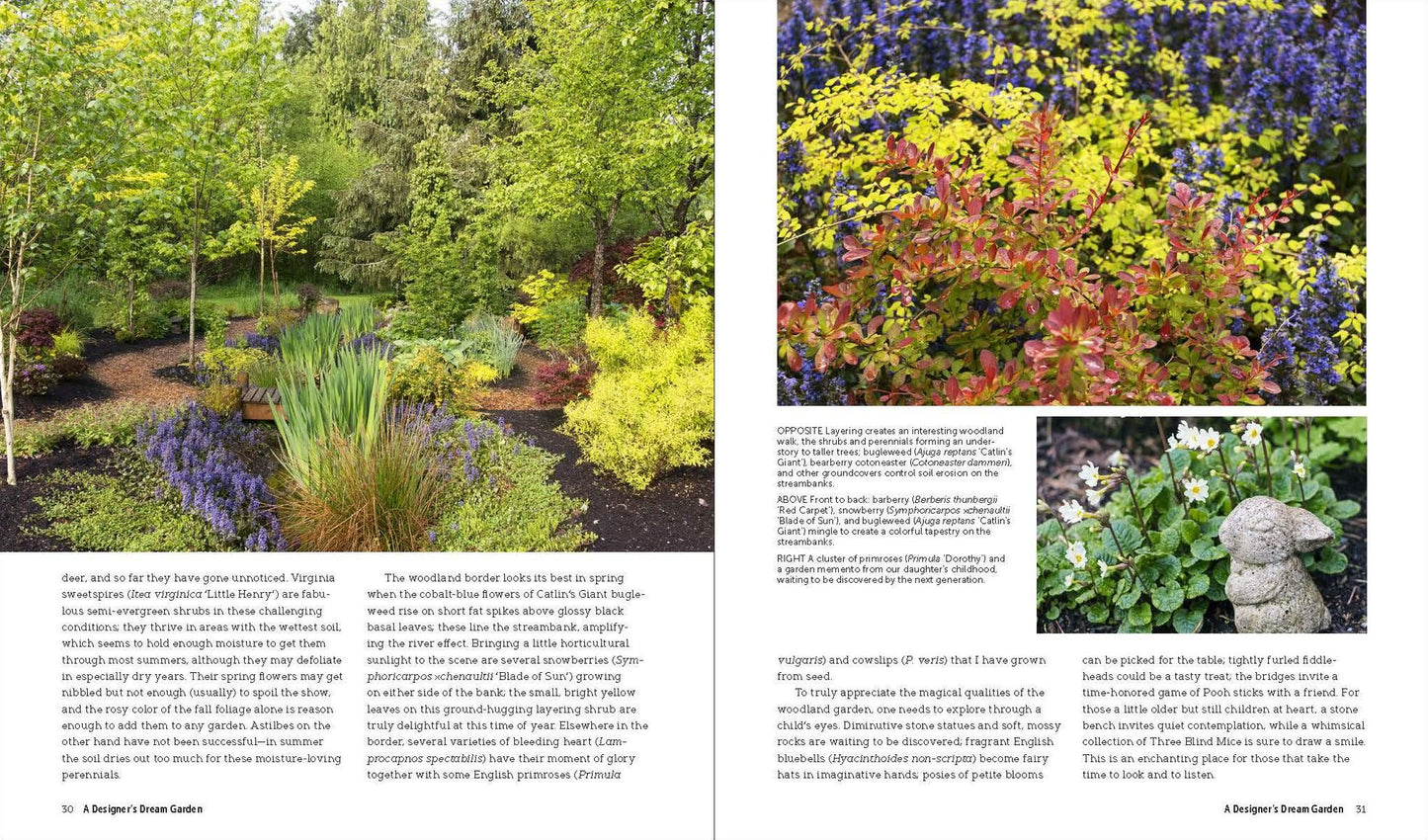 Deer-Resistant Design: Fence-Free Gardens That Thrive Despite the Deer