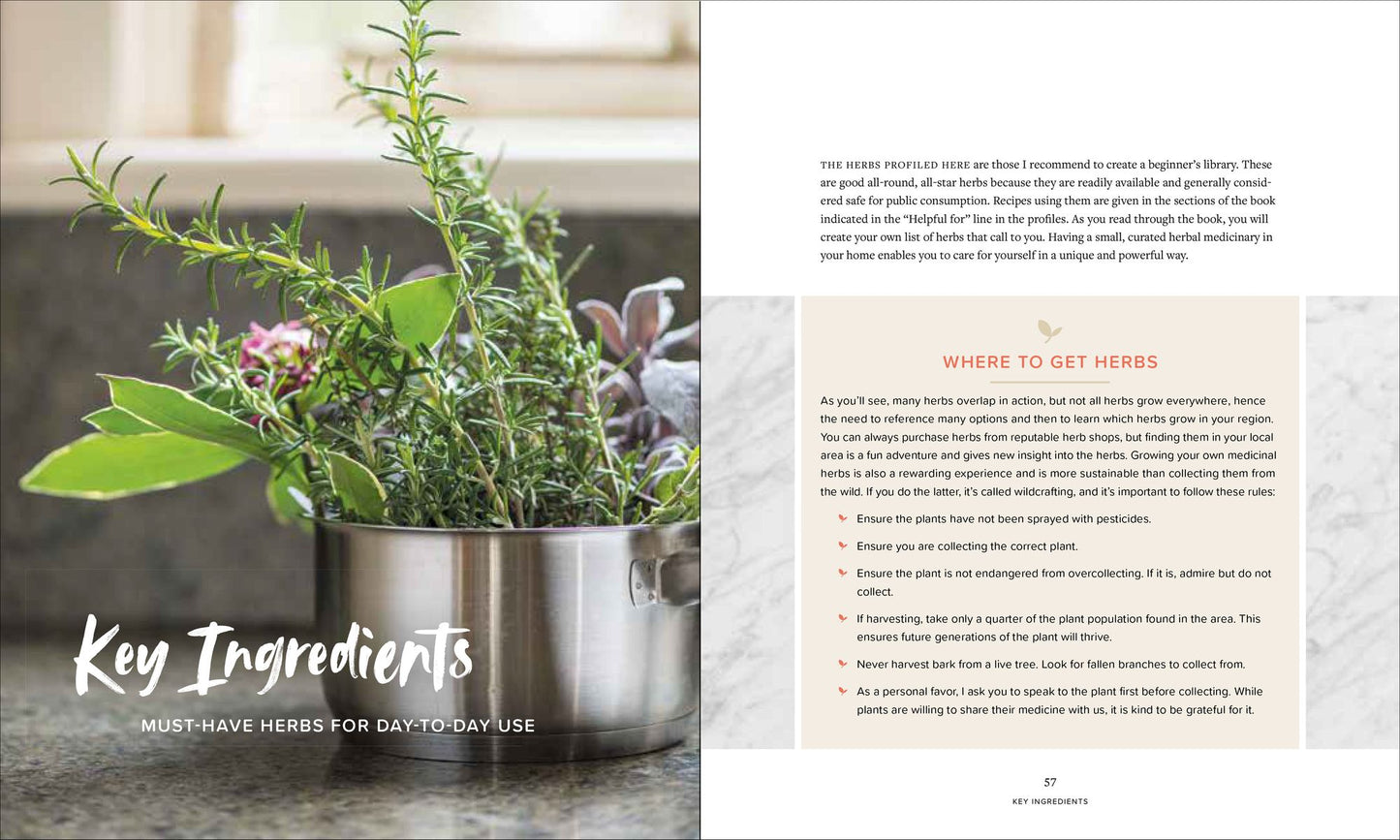 The Complete Home Herbalist: Achieve Health and Wellness with 400 Recipes for Tinctures, Salves, Teas, Capsules, Oils, Washes, and More