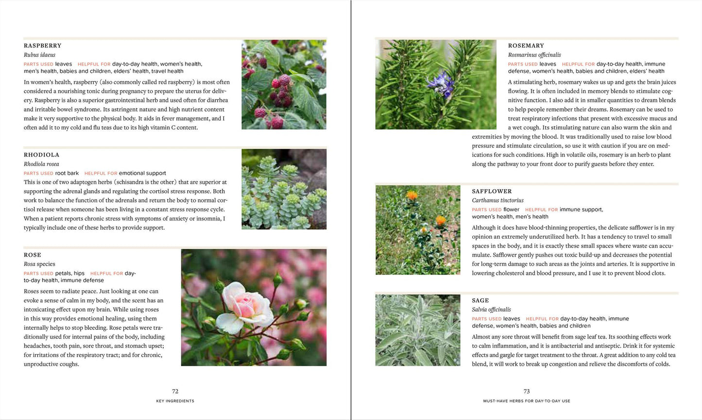 The Complete Home Herbalist: Achieve Health and Wellness with 400 Recipes for Tinctures, Salves, Teas, Capsules, Oils, Washes, and More