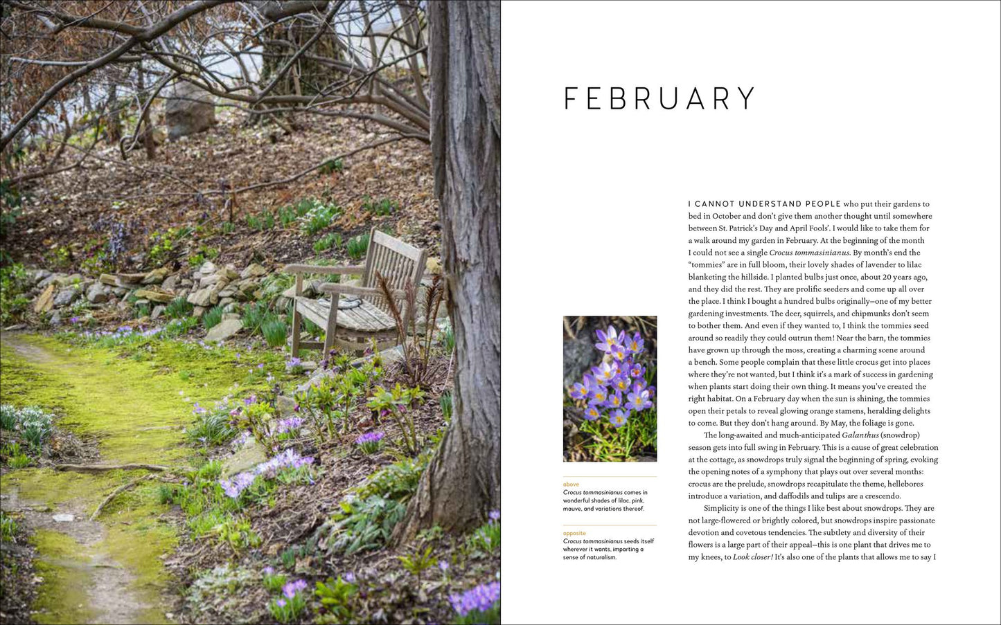 A Year at Brandywine Cottage: Six Seasons of Beauty, Bounty, and Blooms
