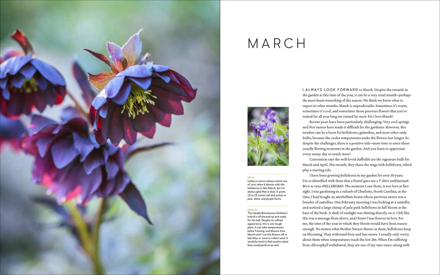 A Year at Brandywine Cottage: Six Seasons of Beauty, Bounty, and Blooms