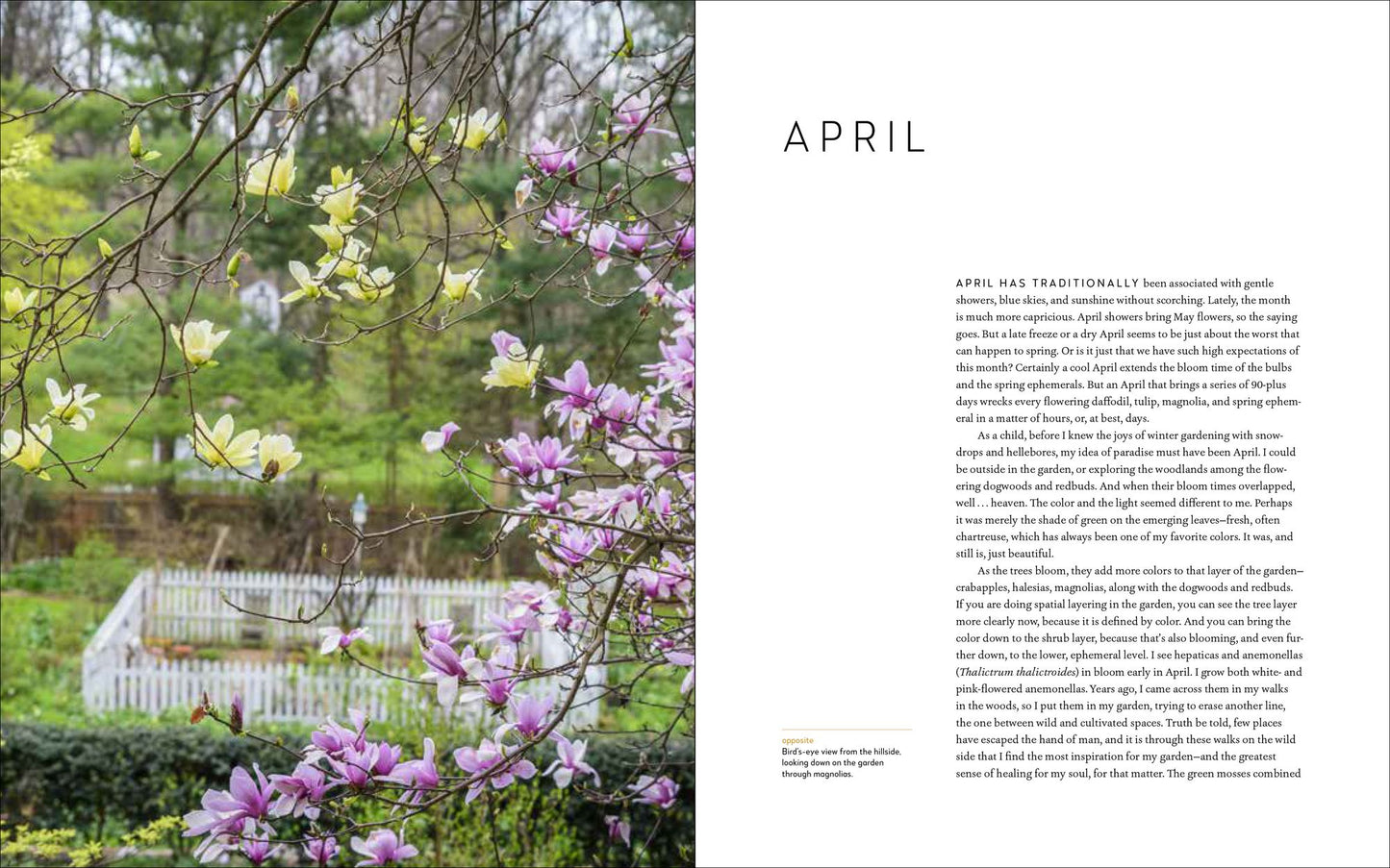 A Year at Brandywine Cottage: Six Seasons of Beauty, Bounty, and Blooms