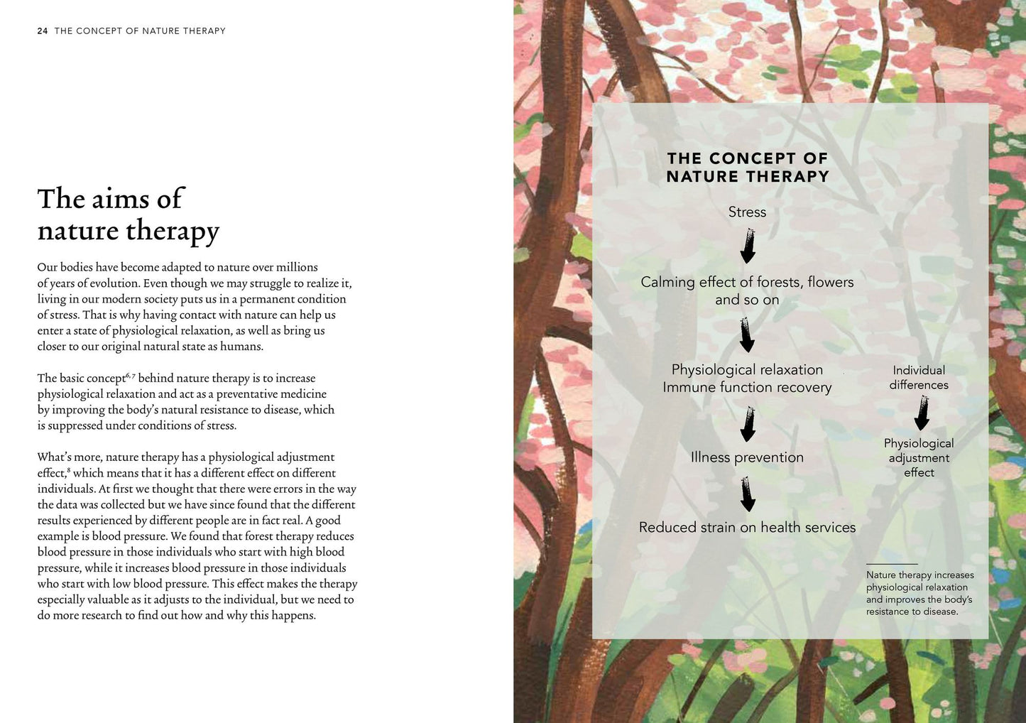 Shinrin Yoku: The Japanese Art of Forest Bathing