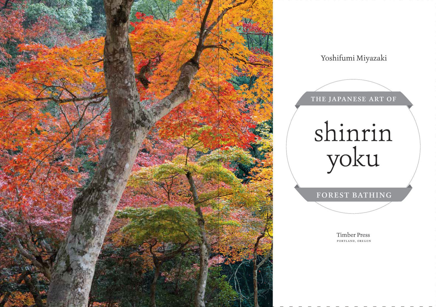 Shinrin Yoku: The Japanese Art of Forest Bathing