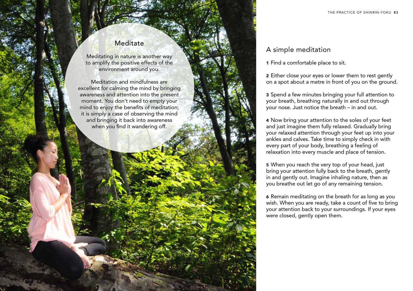 Shinrin Yoku: The Japanese Art of Forest Bathing