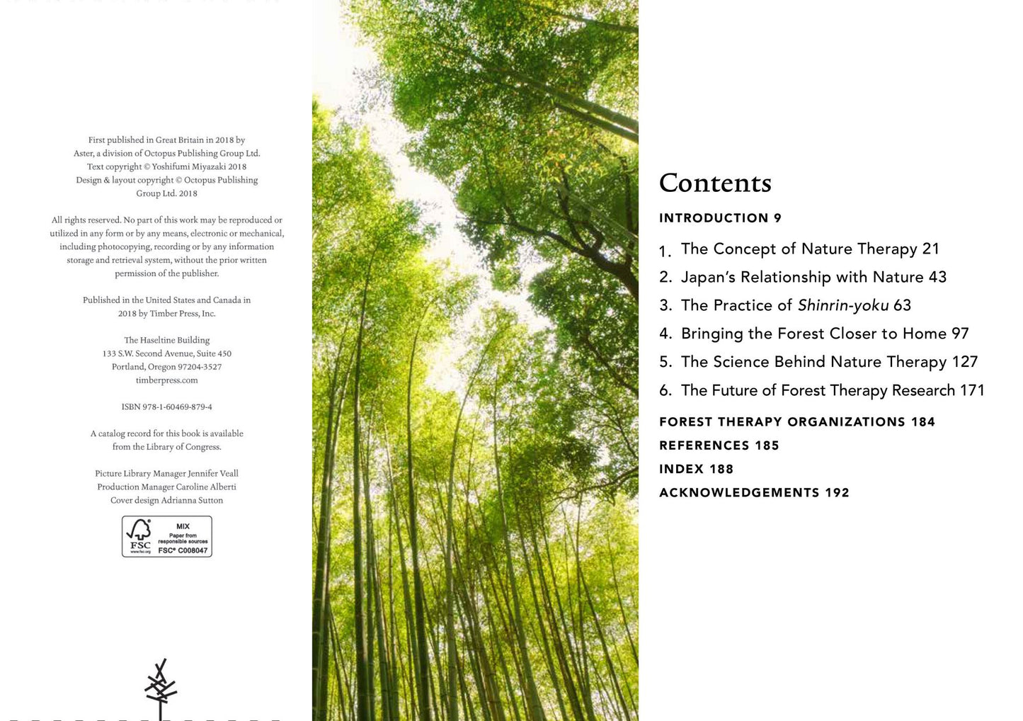 Shinrin Yoku: The Japanese Art of Forest Bathing