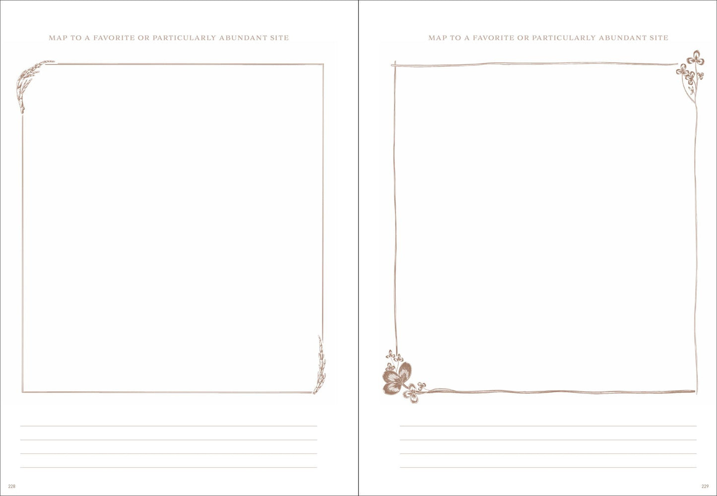 Gather: A Foraging Journal