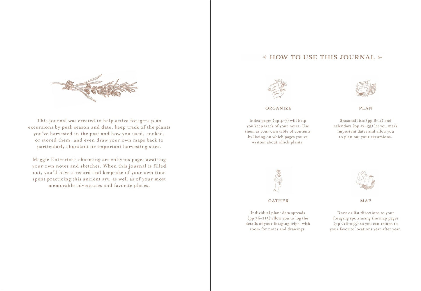 Gather: A Foraging Journal