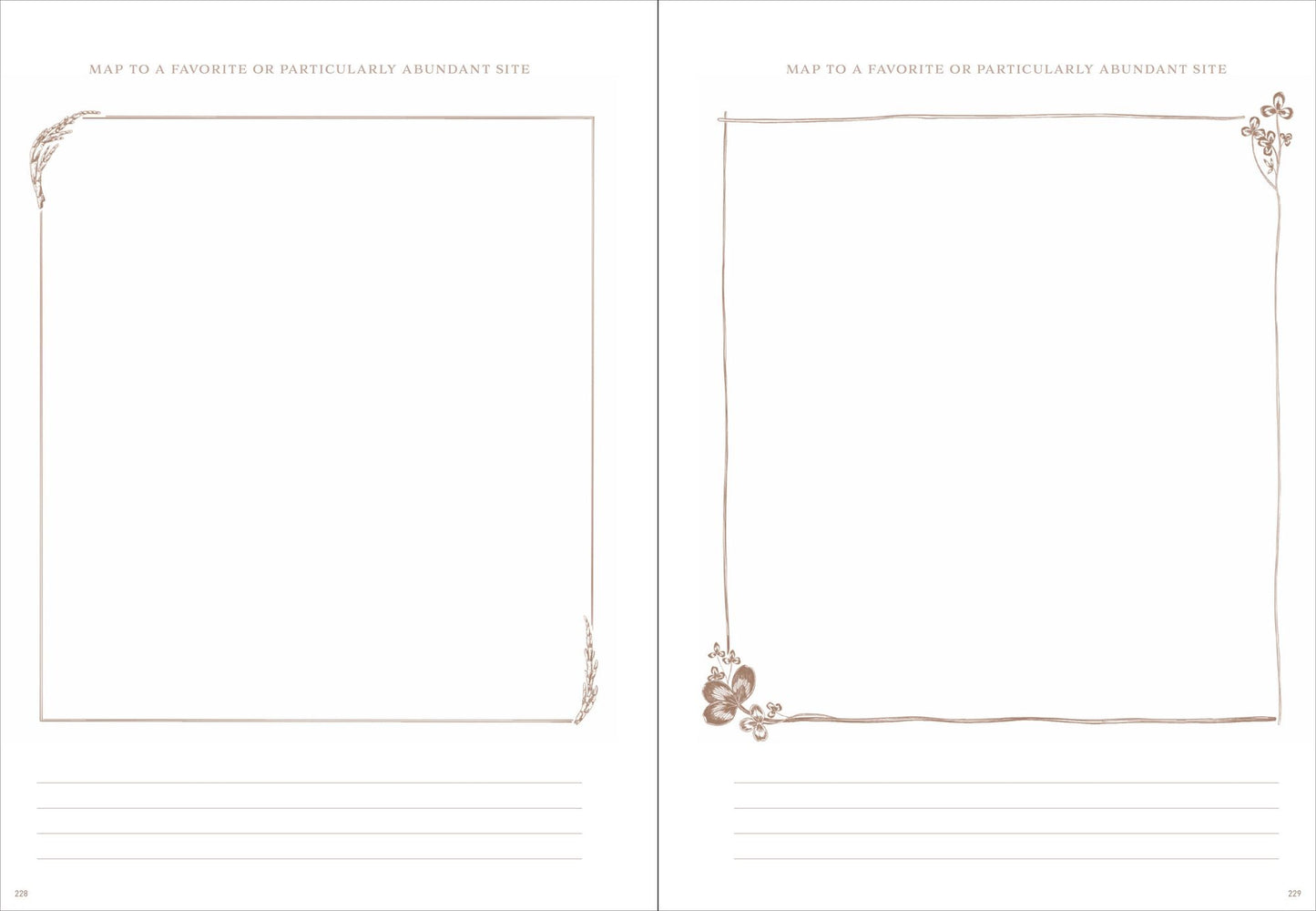 Gather: A Foraging Journal