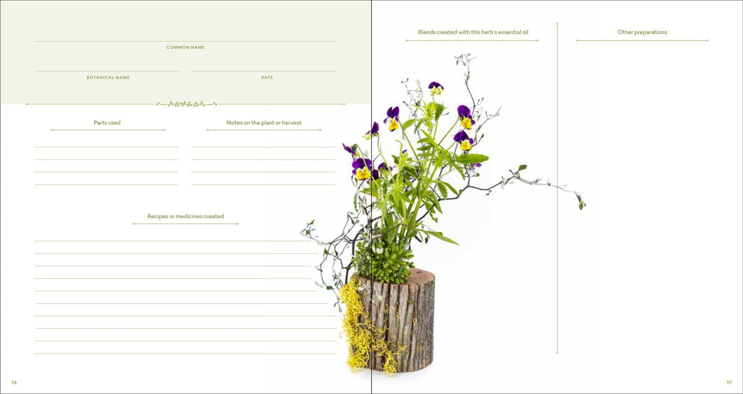 The Herbal Recipe Keeper: My Collection of Healing Plant Remedies and Essential Oil Blends
