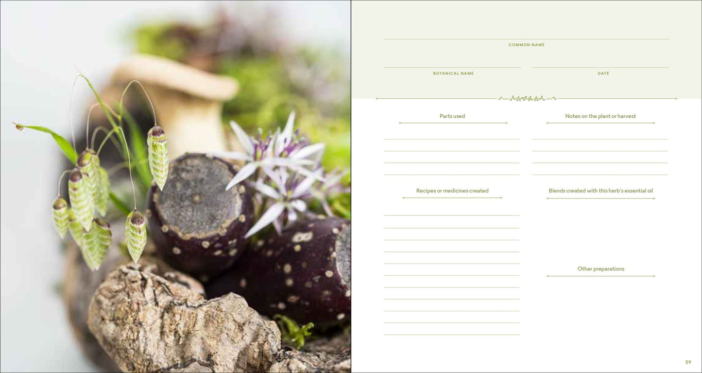 The Herbal Recipe Keeper: My Collection of Healing Plant Remedies and Essential Oil Blends