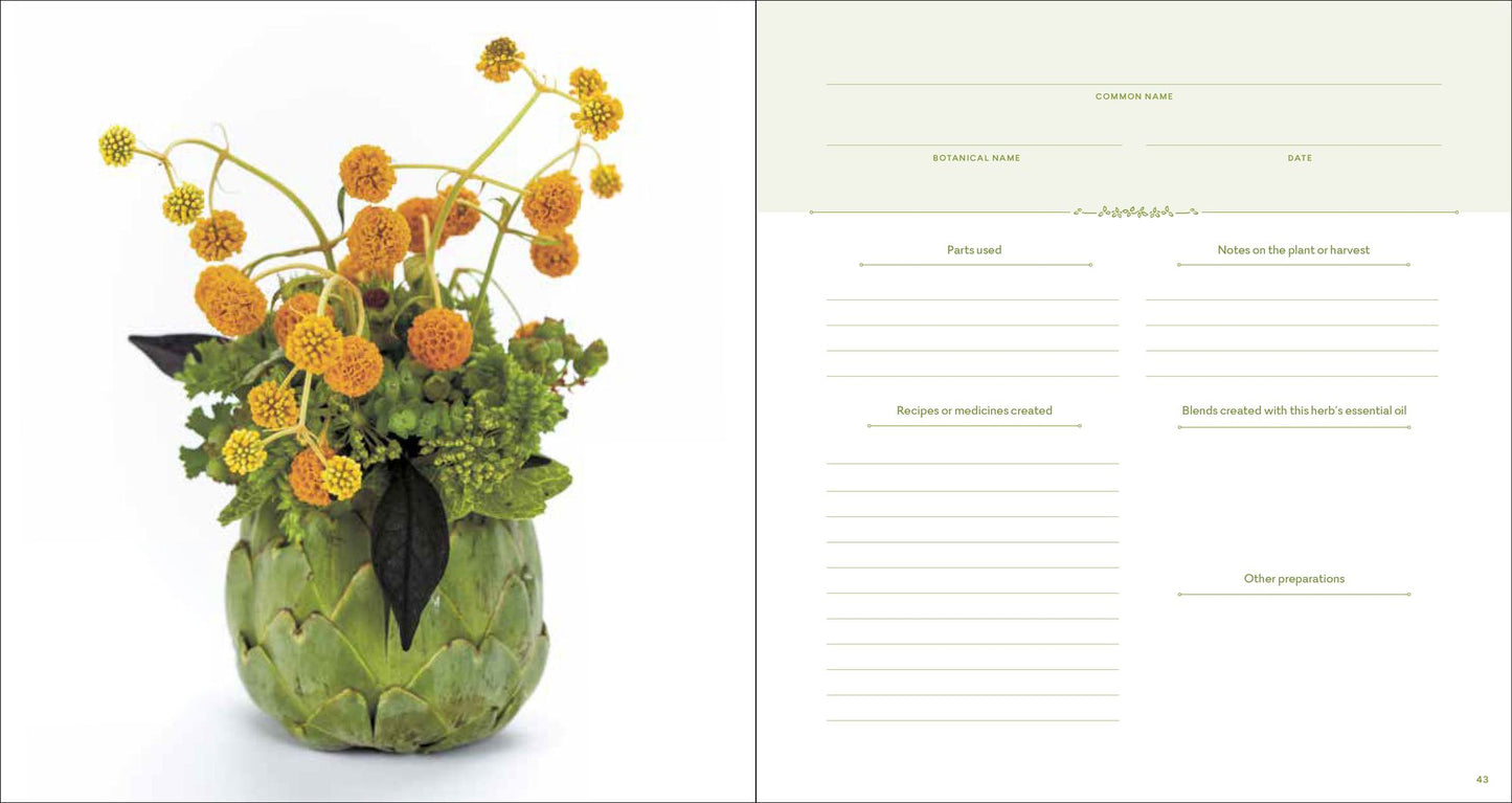 The Herbal Recipe Keeper: My Collection of Healing Plant Remedies and Essential Oil Blends