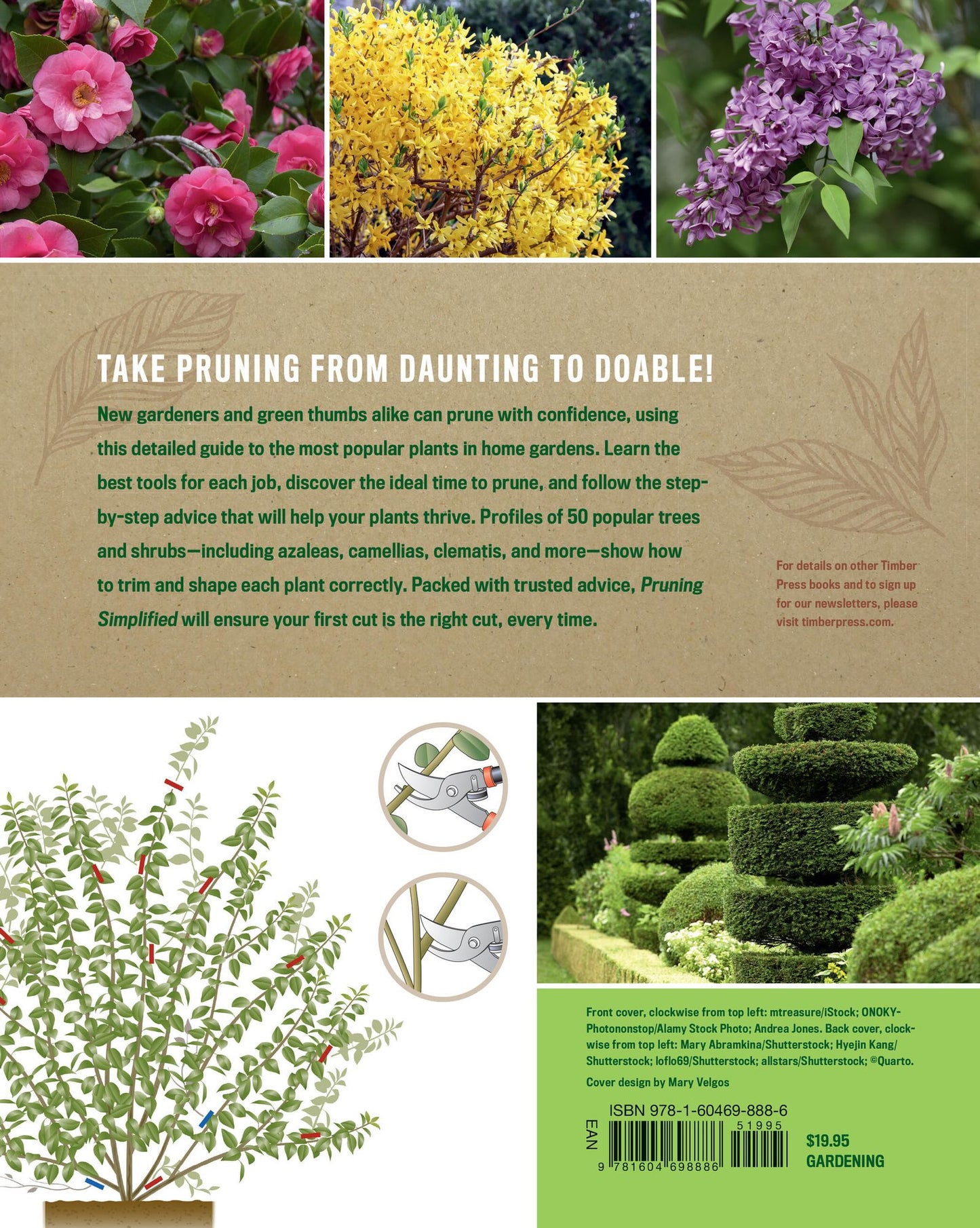 Pruning Simplified: A Step-by-Step Guide to 50 Popular Trees and Shrubs