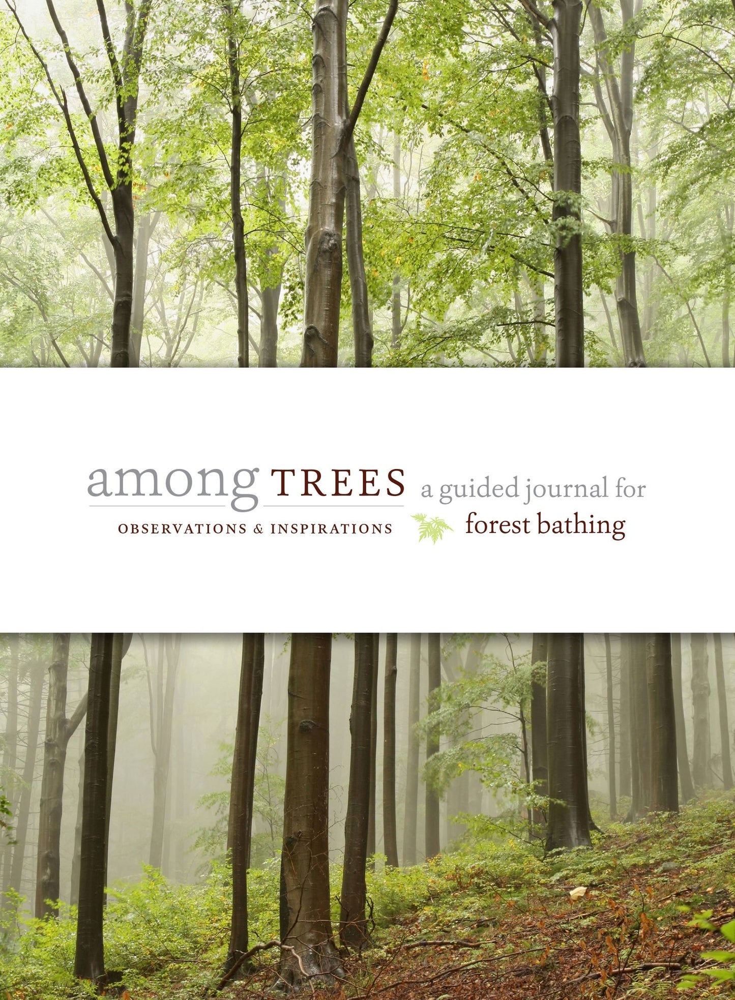 The Forest Bathing Journal: Observations and Inspirations