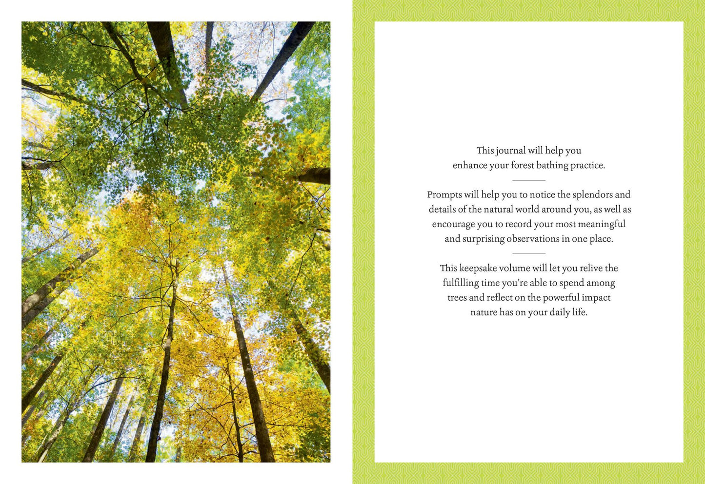 The Forest Bathing Journal: Observations and Inspirations