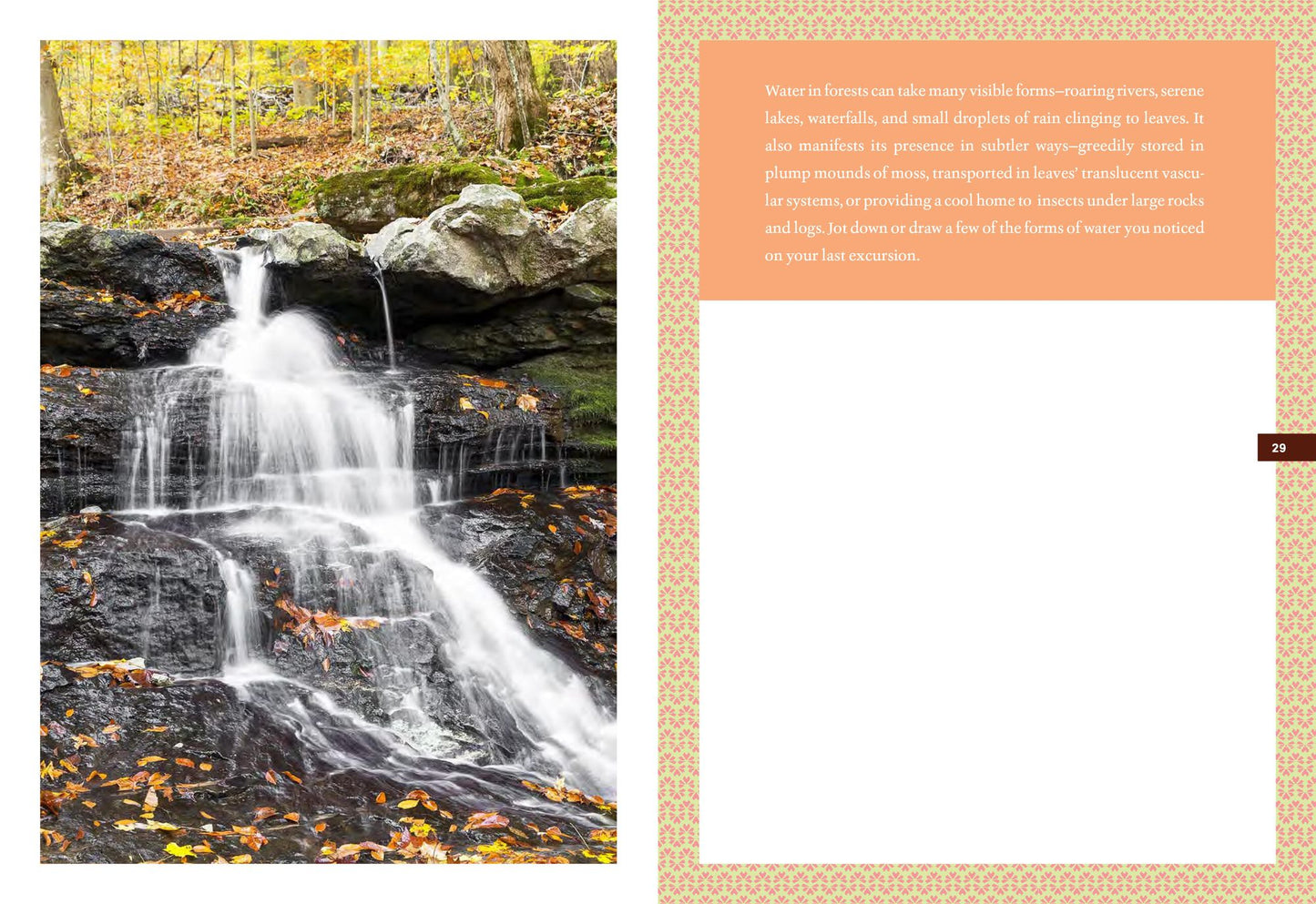 The Forest Bathing Journal: Observations and Inspirations