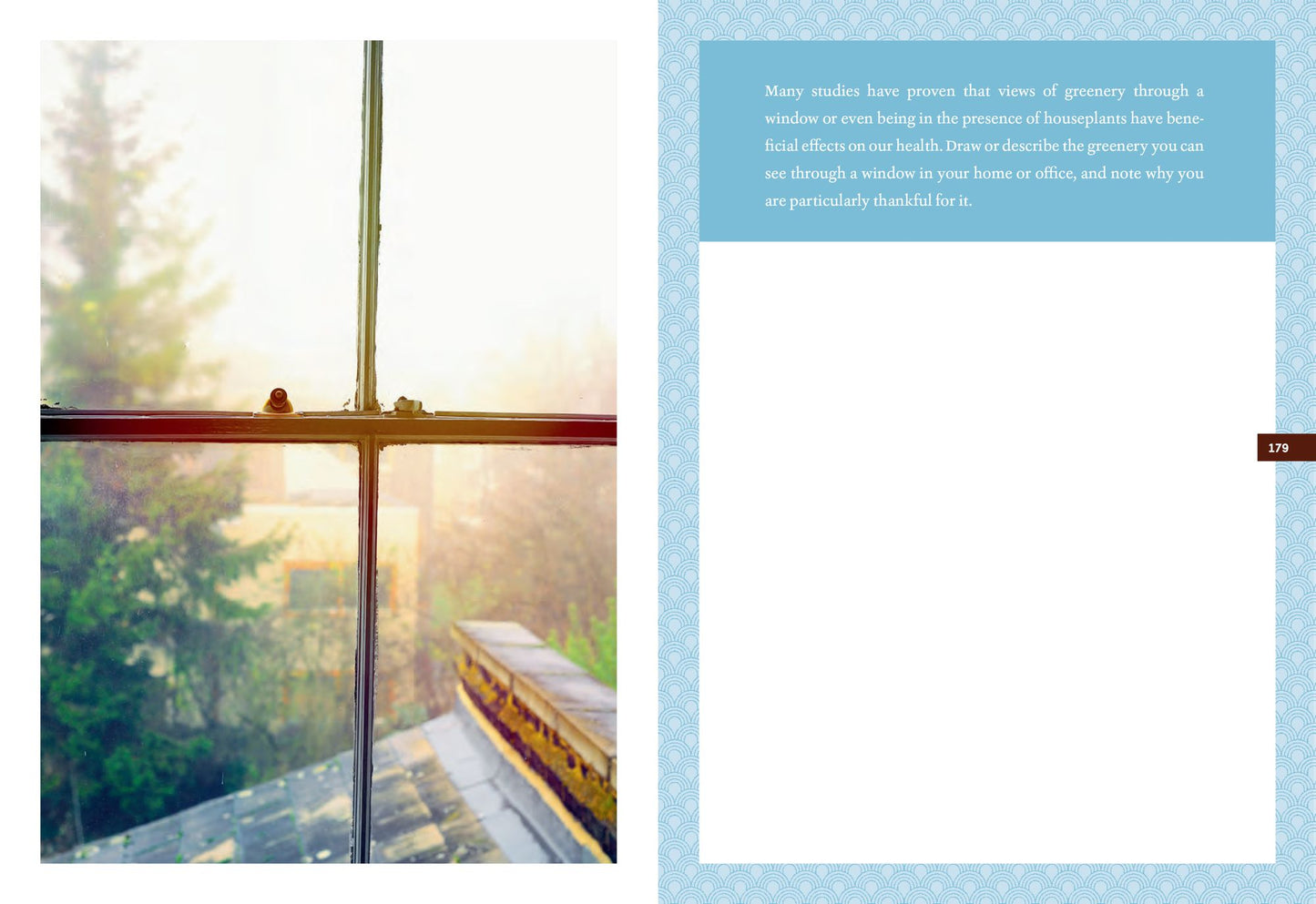 The Forest Bathing Journal: Observations and Inspirations