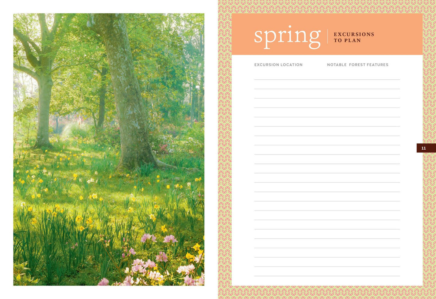 The Forest Bathing Journal: Observations and Inspirations