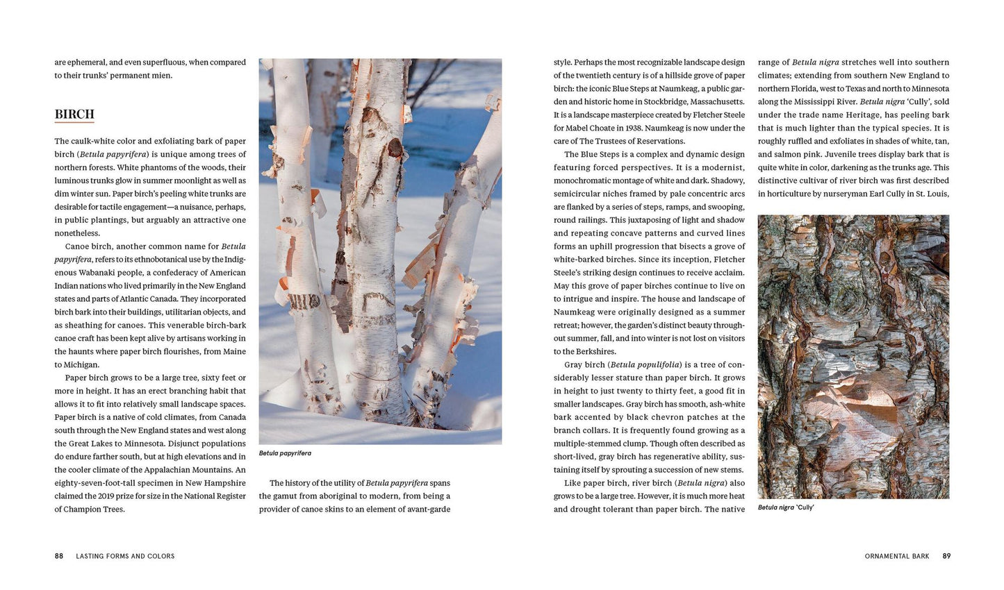 Plants for the Winter Garden: Perennials, Grasses, Shrubs, and Trees to Add Interest in the Cold and Snow