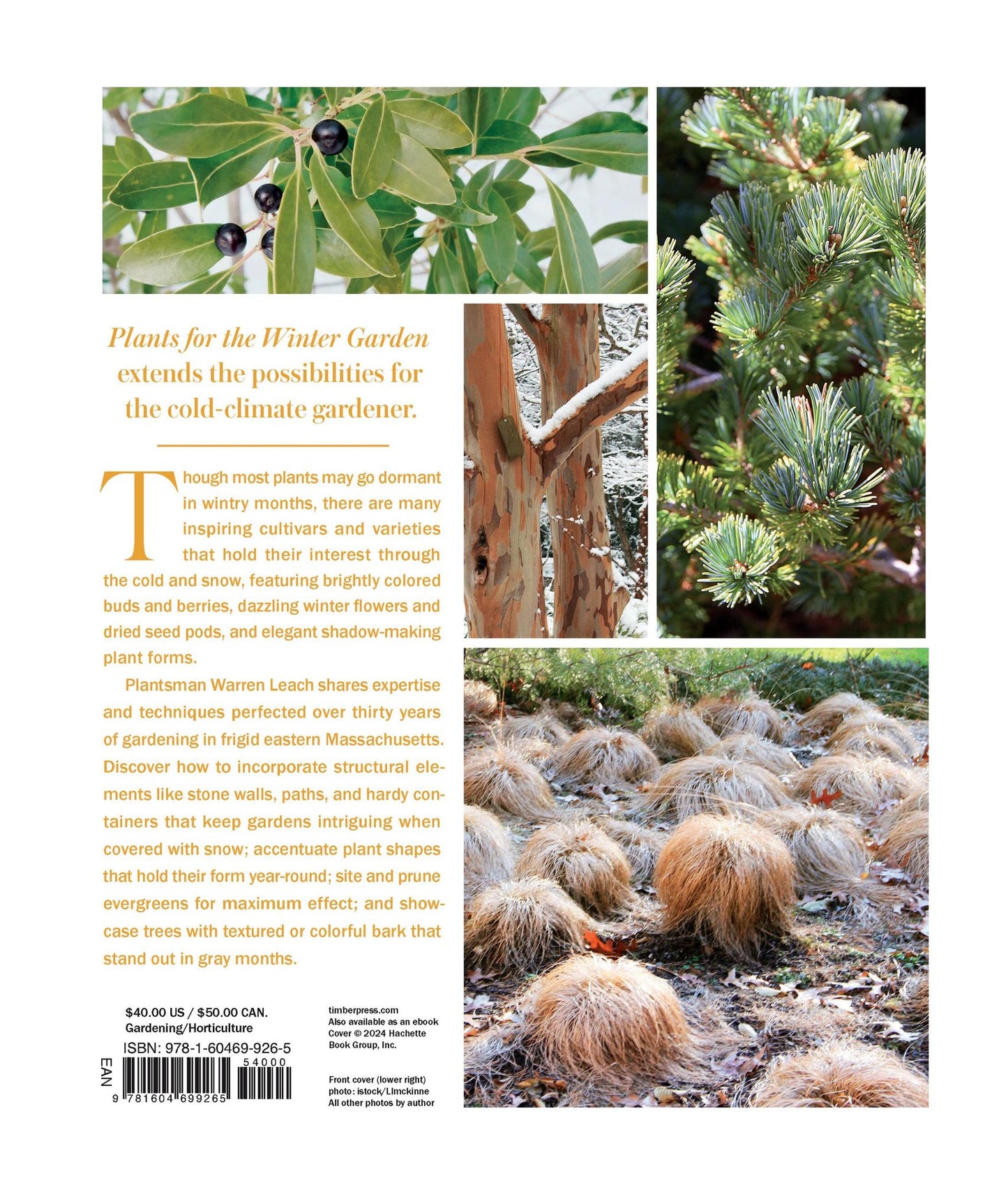 Plants for the Winter Garden: Perennials, Grasses, Shrubs, and Trees to Add Interest in the Cold and Snow