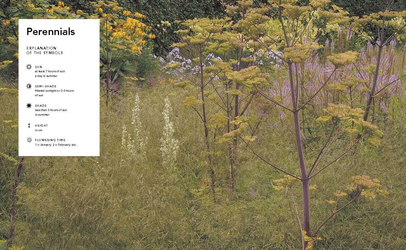 Planting the Natural Garden