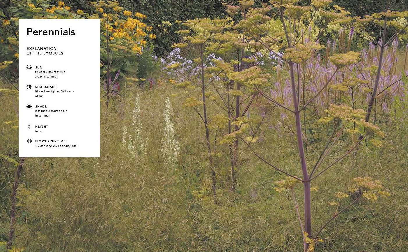 Planting the Natural Garden