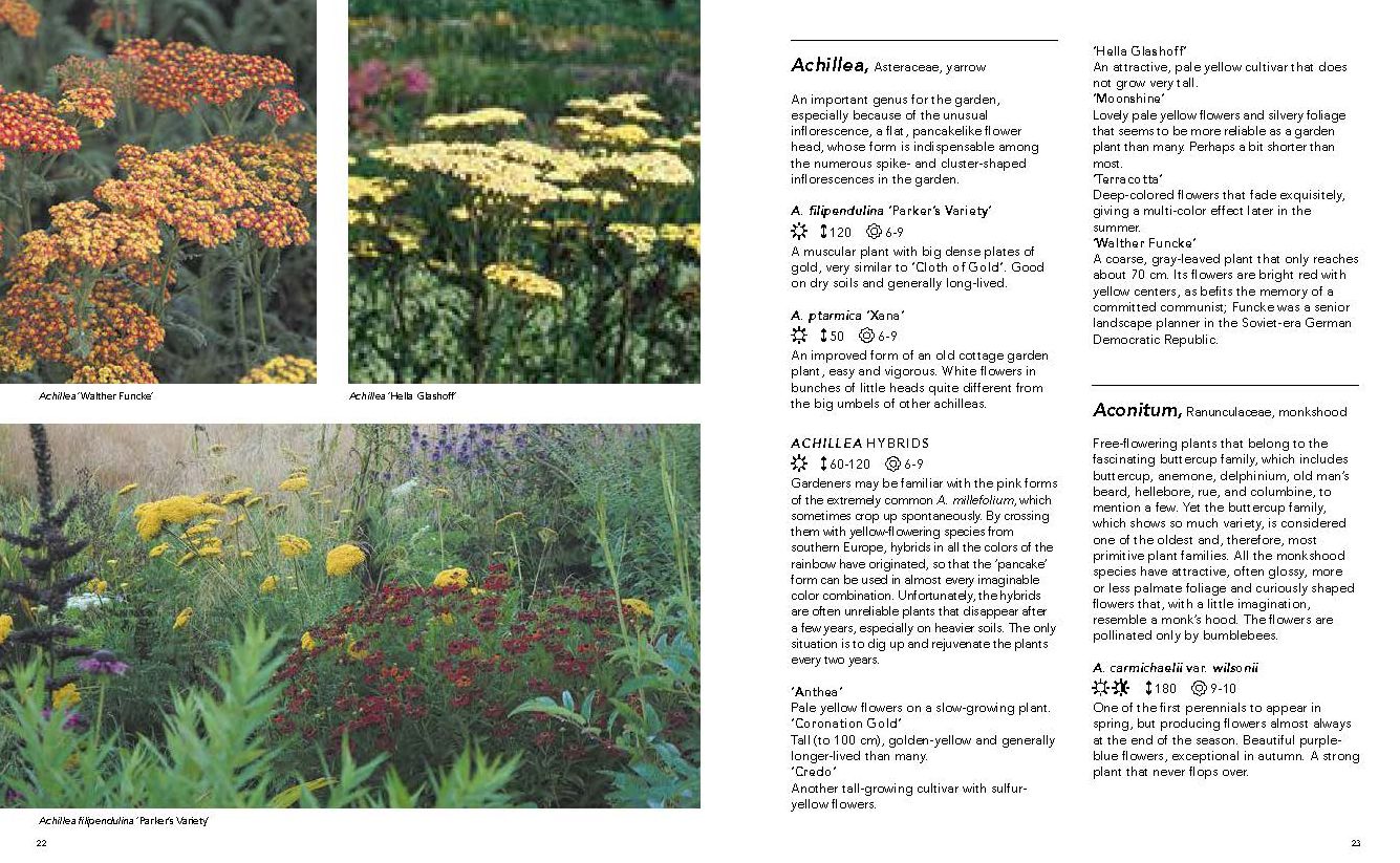 Planting the Natural Garden