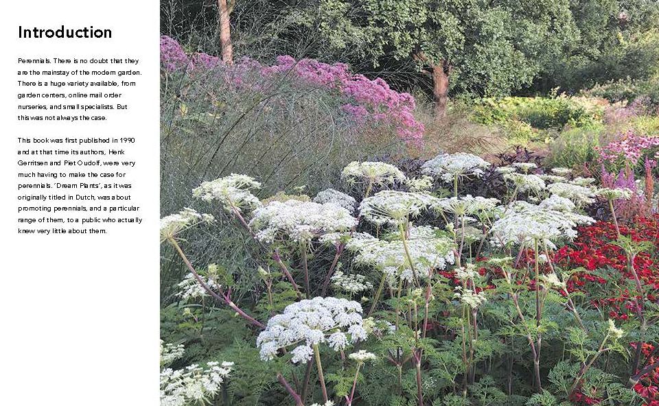 Planting the Natural Garden
