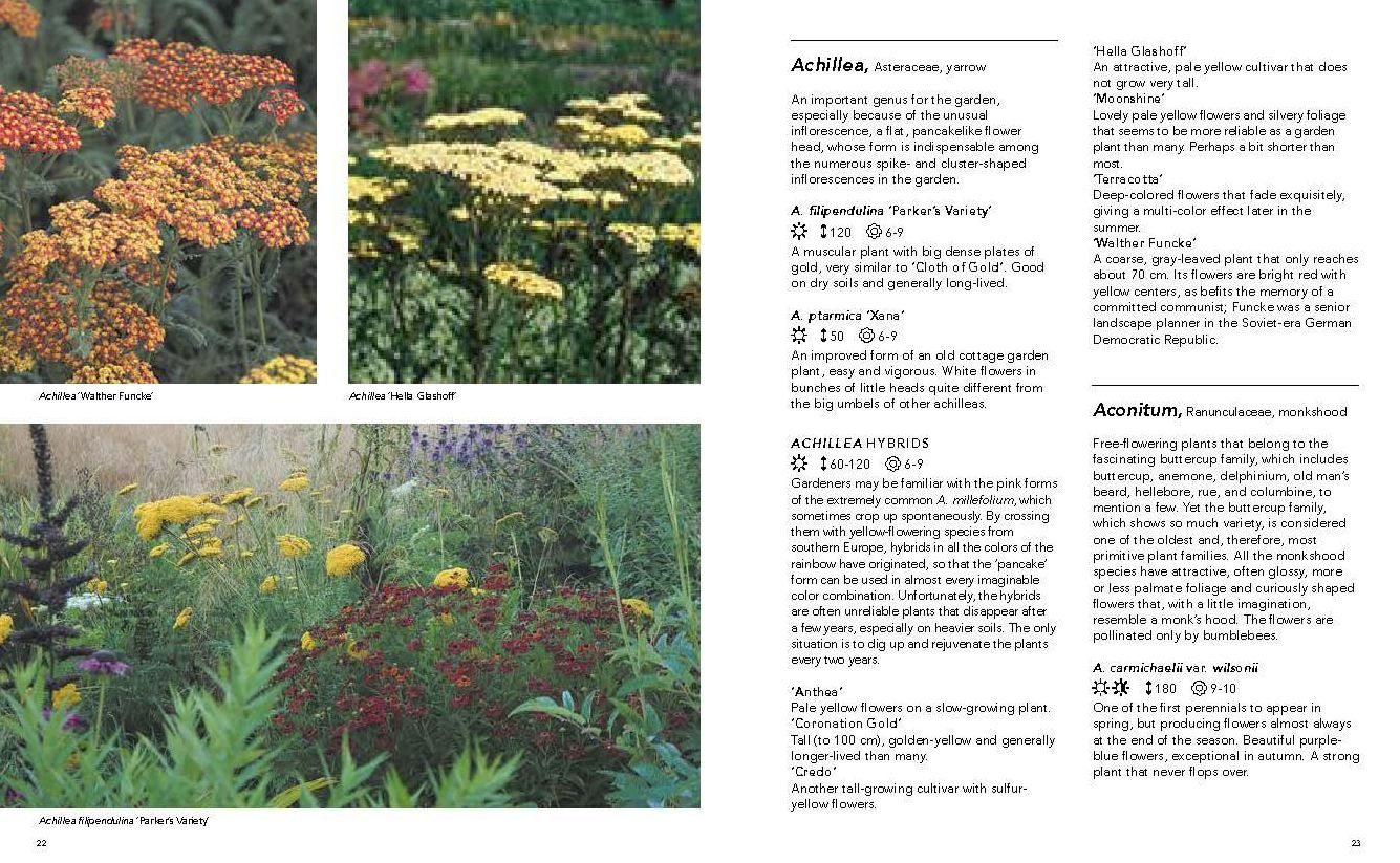 Planting the Natural Garden