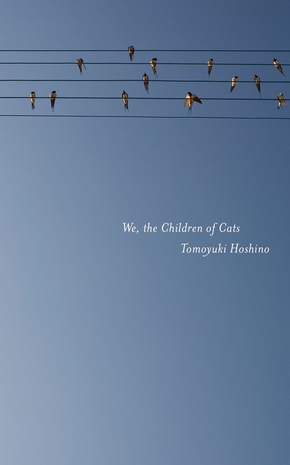 We, the Children of Cats