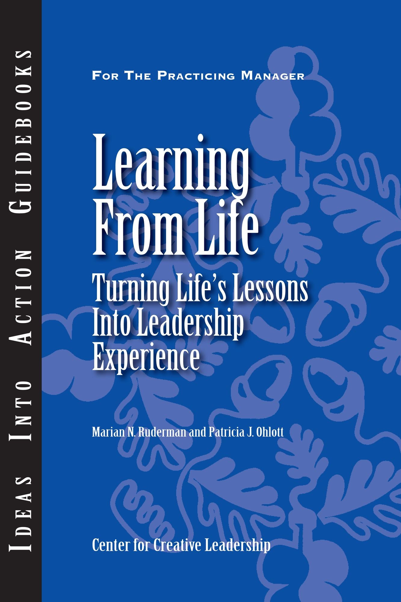 Learning from Life: Turning Life's Lessons Into Leadership Experience: Turning Life's Lessons Into Leadership Experience
