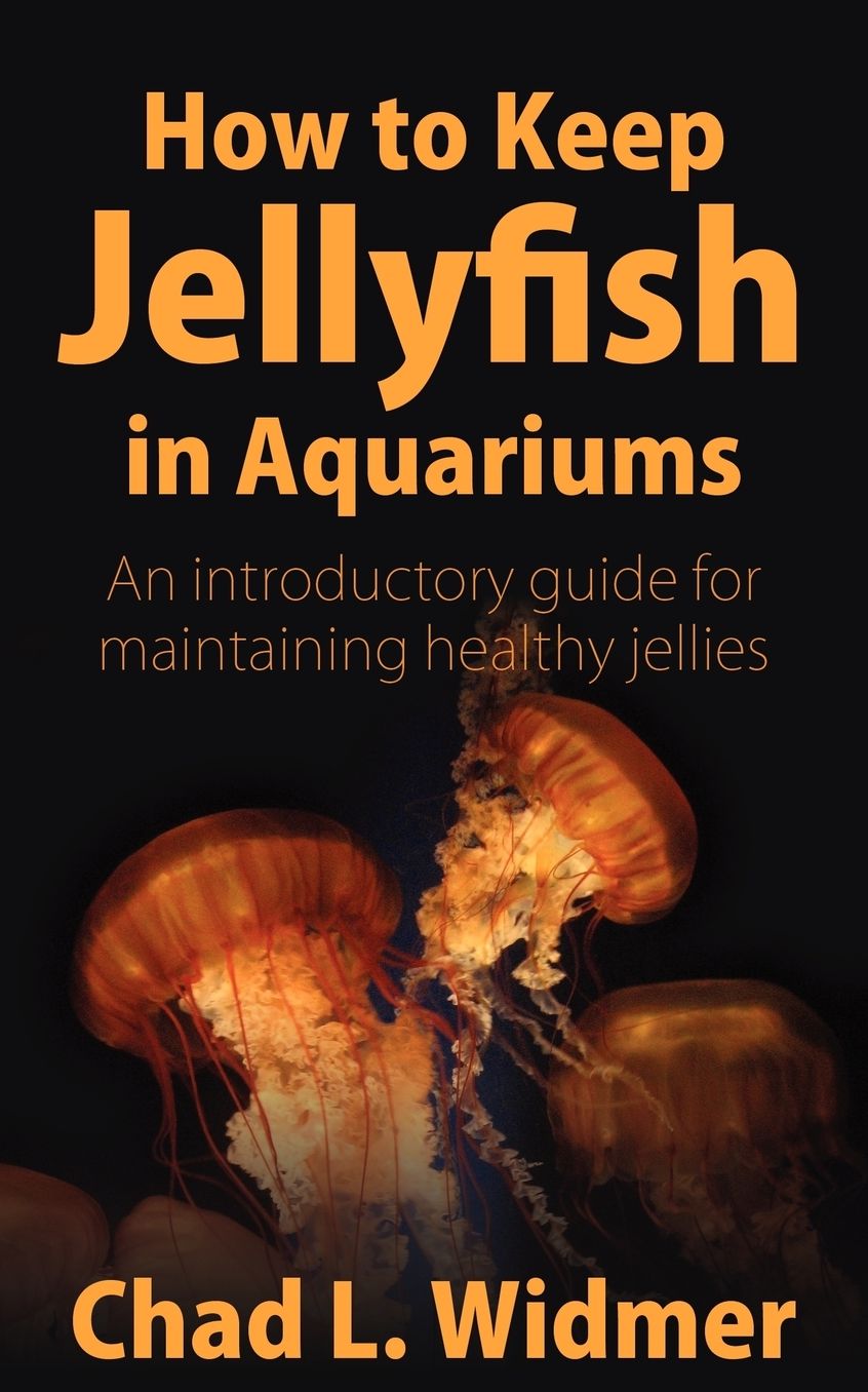 How To Keep Jellyfish In Aquariums