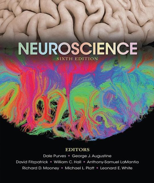 Neuroscience