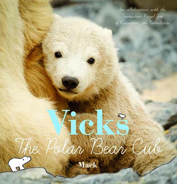 Vicks, the Polar Bear Cub