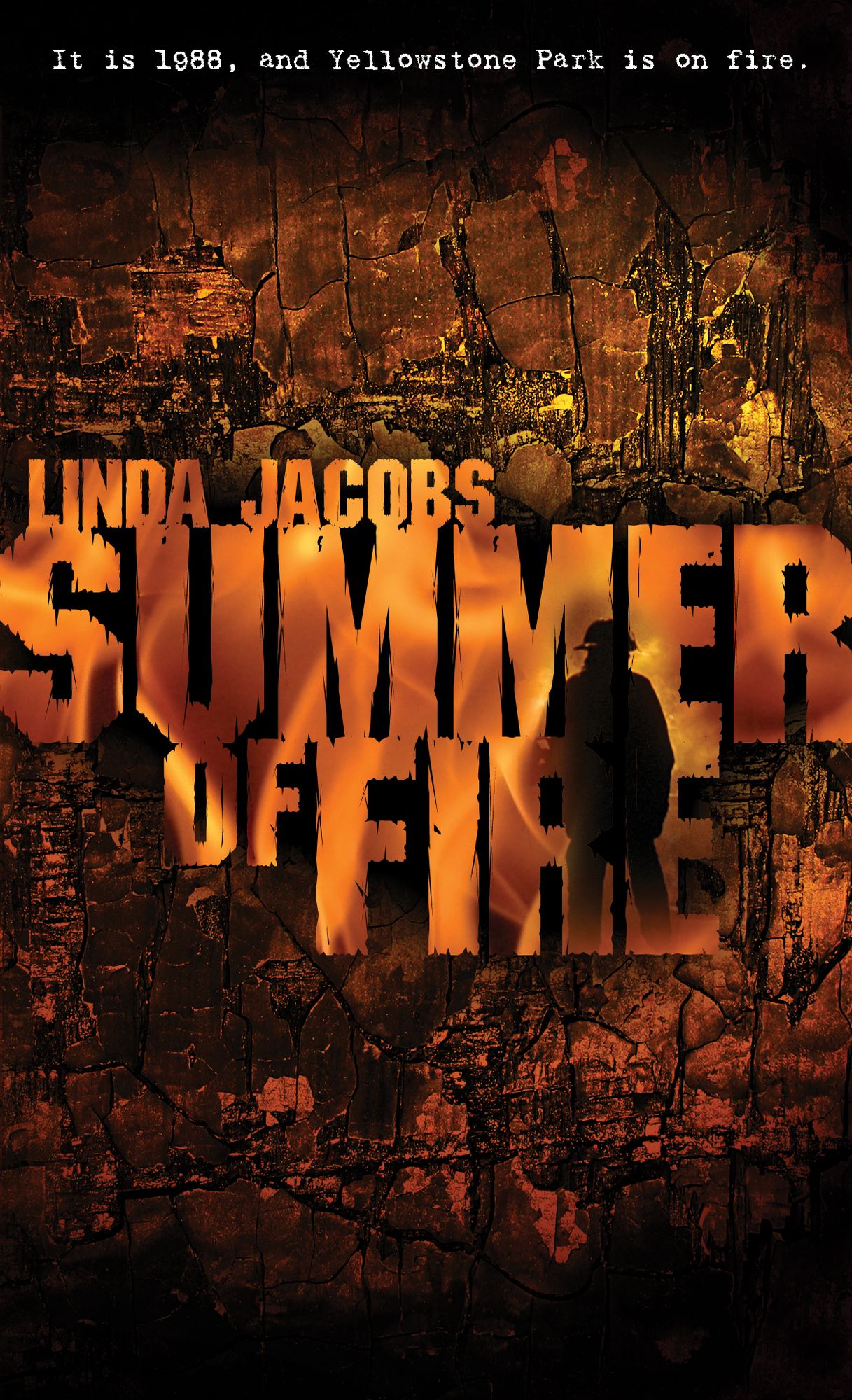 Summer of Fire