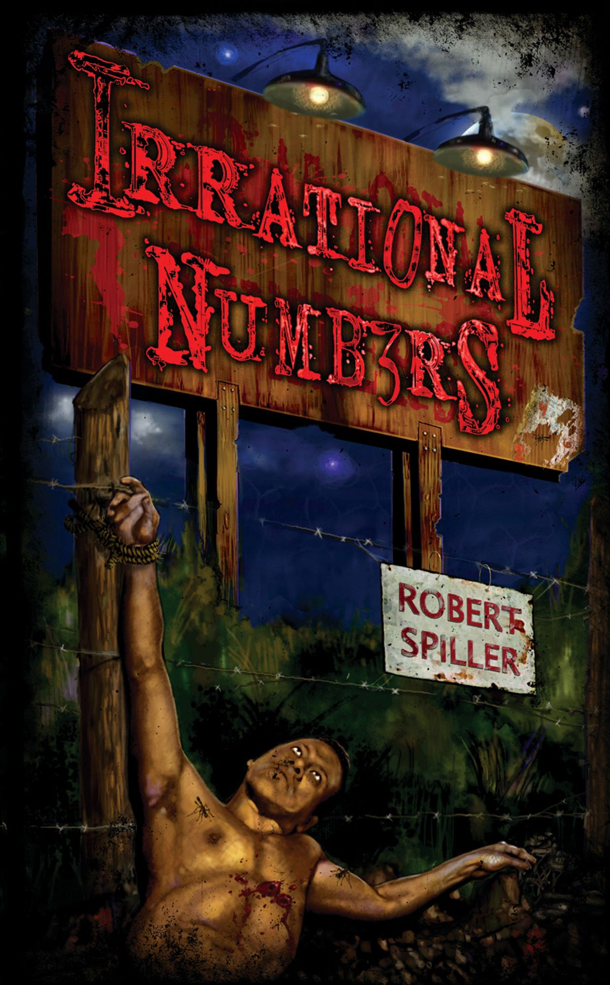Irrational Numbers (Bonnie Pinkwater Series #3)