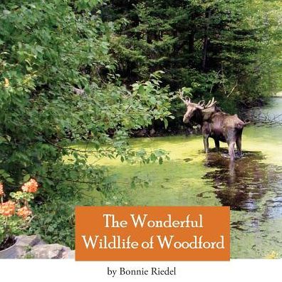 Wonderful WIldlife of Woodford