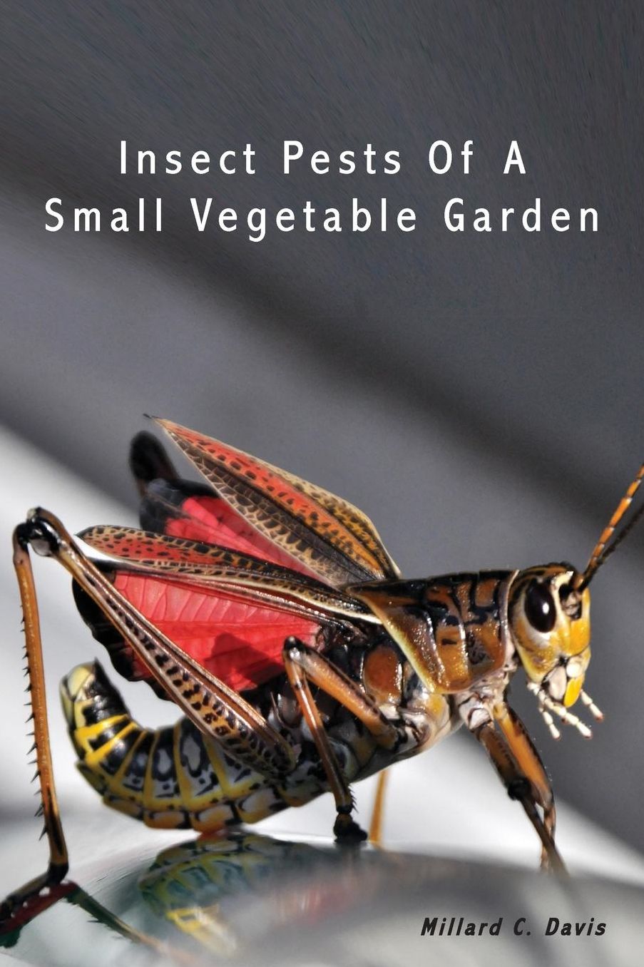 Insect Pests Of A Small Vegetable Garden