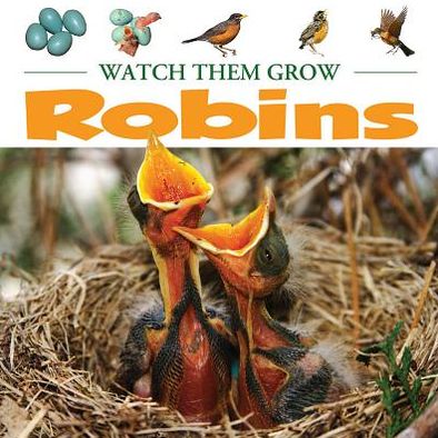 Robins: Watch Them Grow