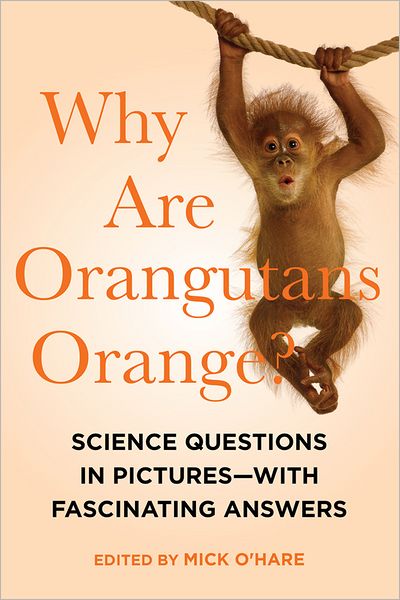 Why Are Orangutans Orange?: Science Questions in Pictures