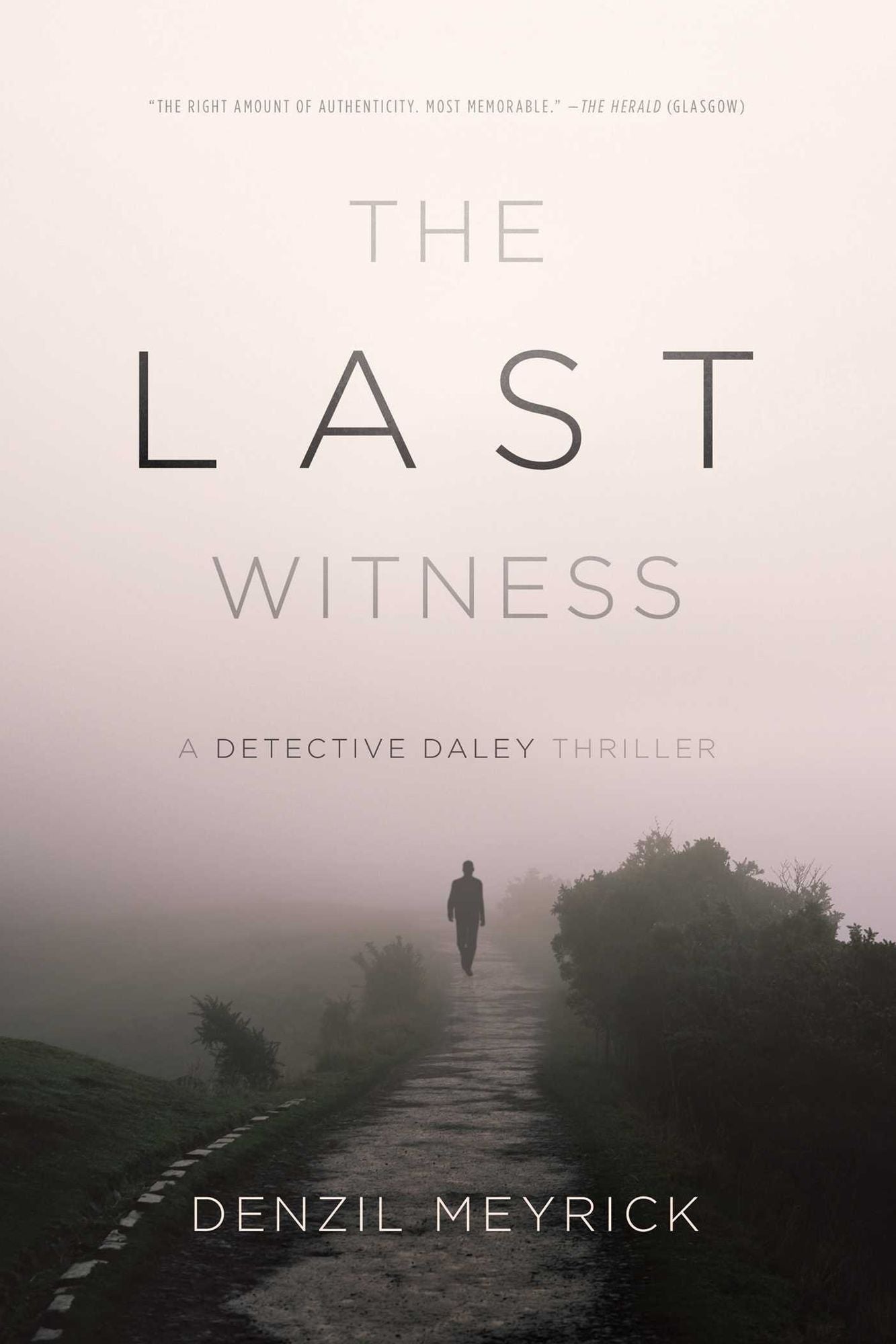 The Last Witness: A Detective Daley Thriller